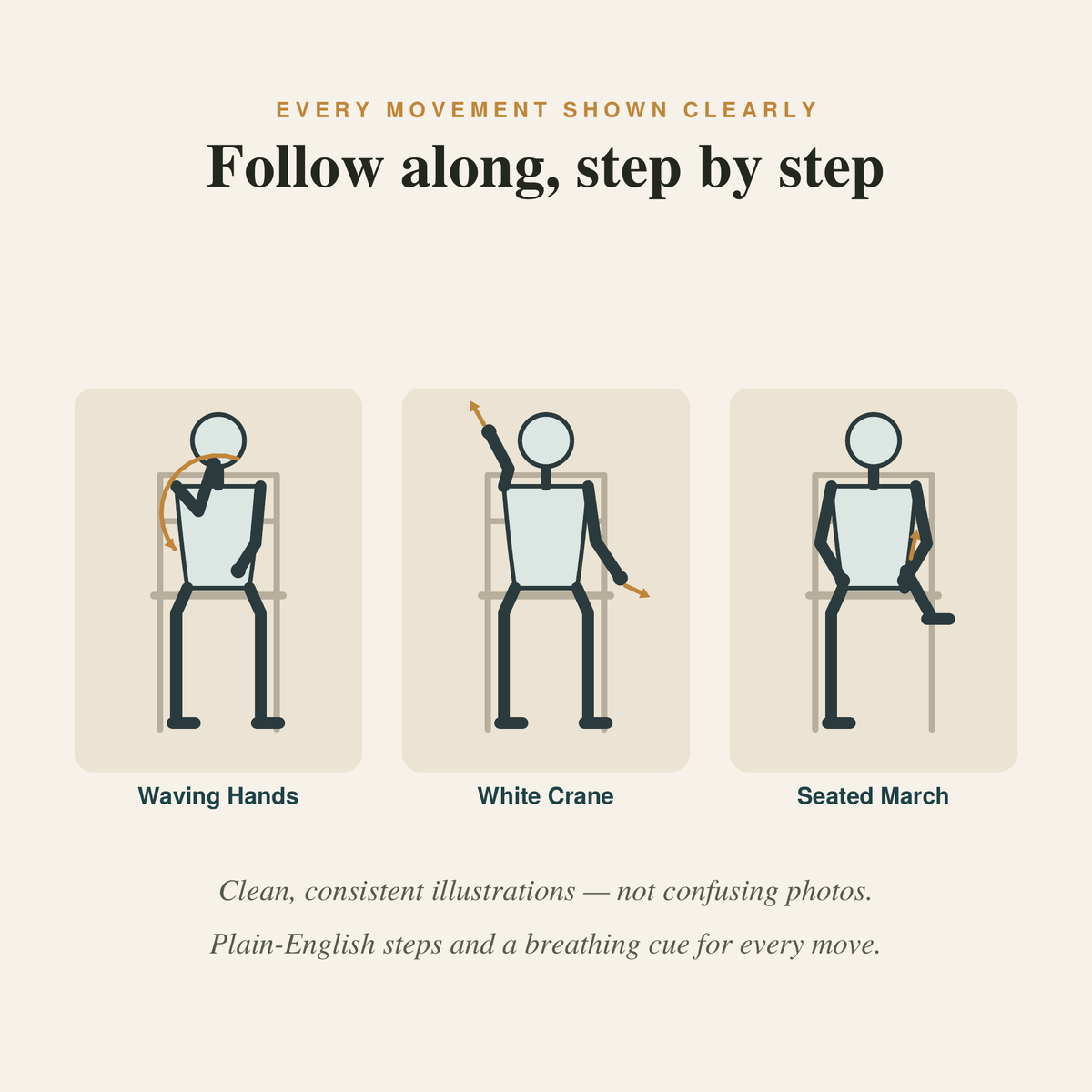 Chair Tai Chi — A Gentle Guide to Strength, Balance & Mobility