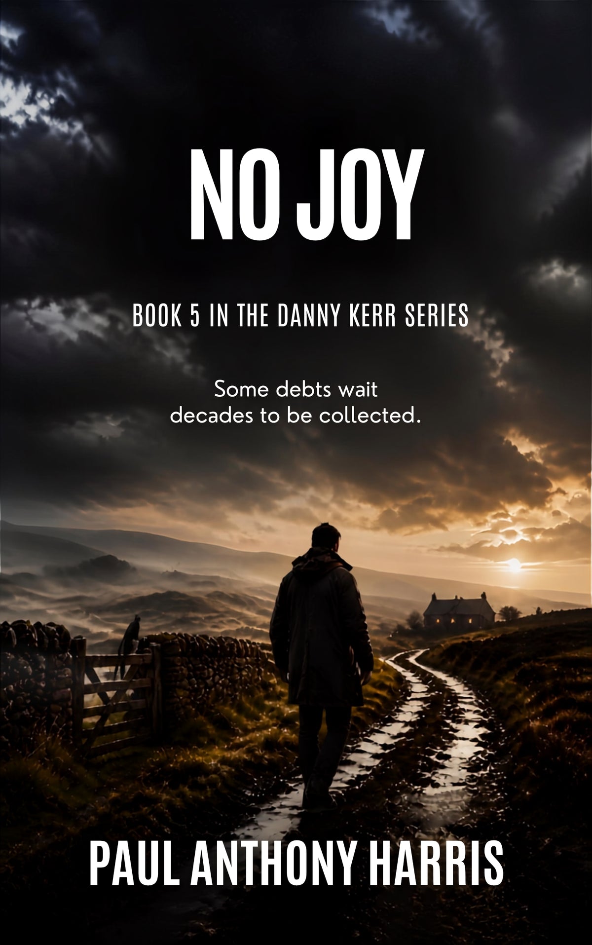 No Joy - Book 5 in the Danny Kerr Series by Paul Anthony Harris