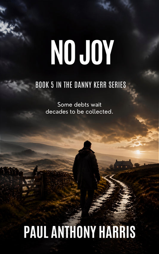 No Joy - Book 5 in the Danny Kerr Series by Paul Anthony Harris